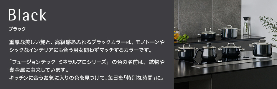 フュージョンテック ミネラルプロ ブラック Fusiontec Mineral Pro Black
