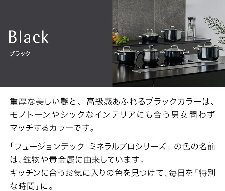 フュージョンテック ミネラルプロ ブラック Fusiontec Mineral Pro Black