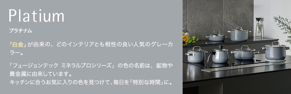 フュージョンテック ミネラルプロ プラチナム Fusiontec Mineral Pro Platinum