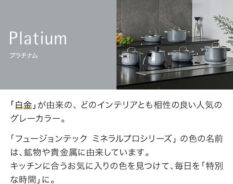 フュージョンテック ミネラルプロ プラチナム Fusiontec Mineral Pro Platinum