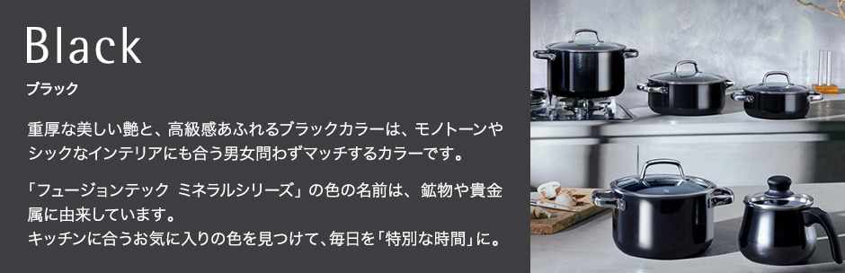 フュージョンテック ミネラル ブラック Fusiontec Mineral Black