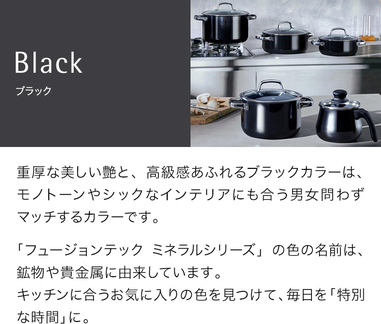 フュージョンテック ミネラル ブラック Fusiontec Mineral Black