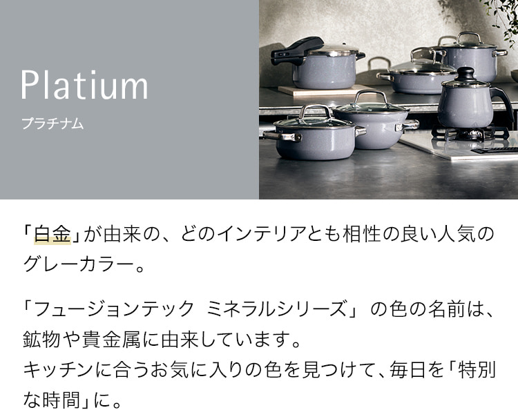 WMF（ヴェーエムエフ） フュージョンテック ミネラル プラチナム（PL