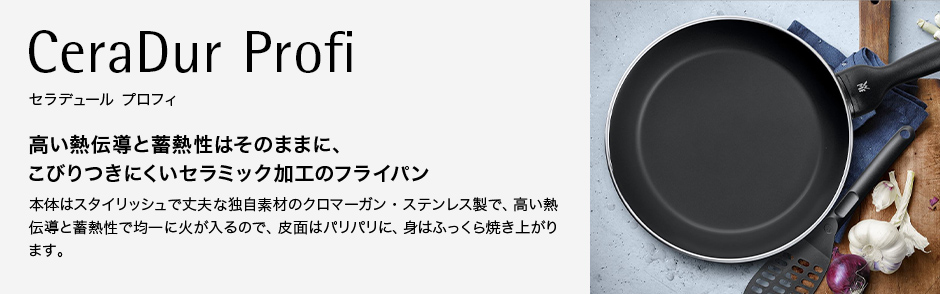CeraDur Profi Fry セラデュール プロフィ