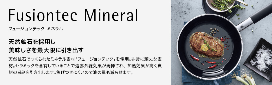 Fusiontec Mineral フュージョンテック ミネラル