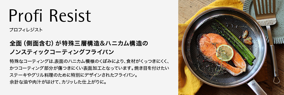 Profi Resist プロフィレジスト