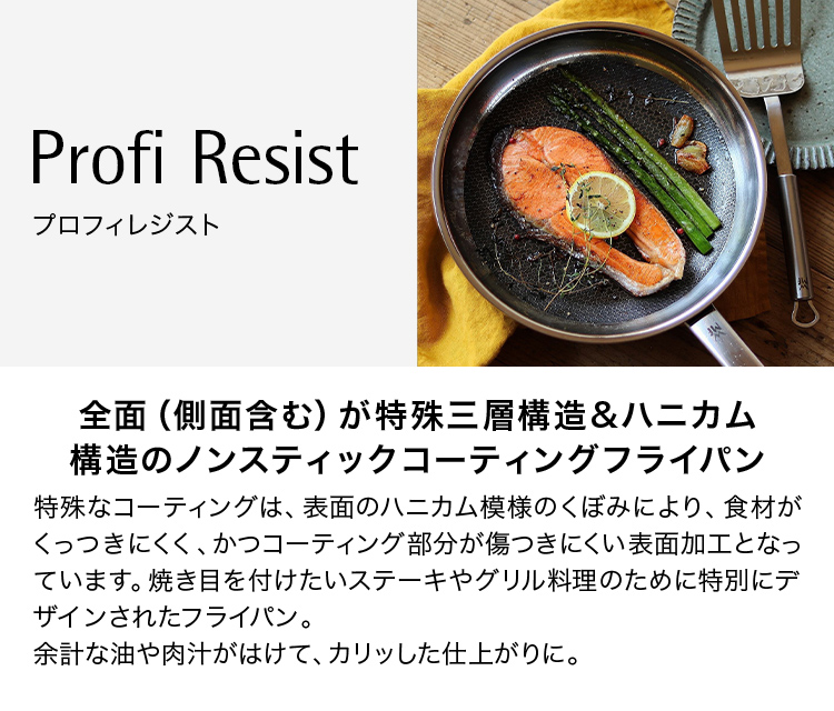 Profi Resist プロフィレジスト