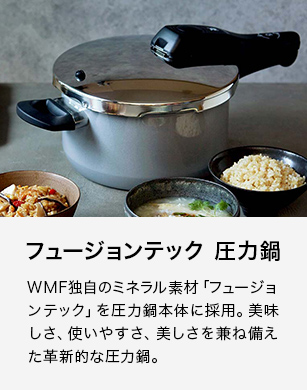 Fusiontec フュージョンテック 圧力鍋
