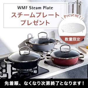 MF Steam Plate スチームプレートプレゼント 数量限定 先着順、なくなり次第終了となります！