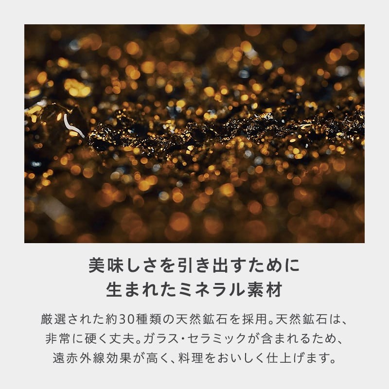 フュージョンテック ミネラル ロースター28cm RQ - WMF公式